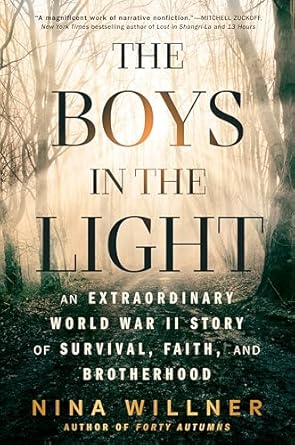 The Boys in the Light by Nina Willner book cover